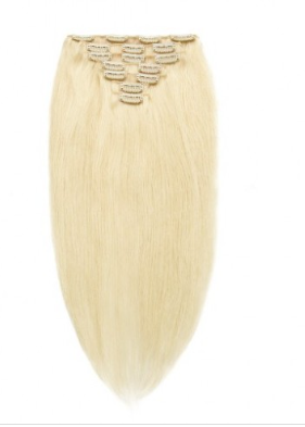 Straight #60 Ash Blonde Remy Clip In Hair Extensions